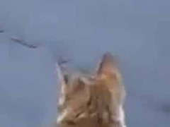 私のようになるには、まだまだだね…