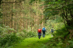 丹沢なんか鹿が増えたからヒルが増えたとか言われてんじゃん？