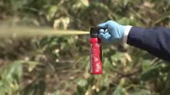 【北海道】『クマ撃退スプレーの噴射実験』で高校生3人搬送…目の痛み訴え動けず