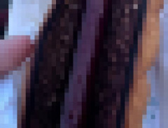 【画像】楽天球場のホットドック、黒すぎて炎上ｗｗｗｗｗｗｗｗ