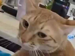 彼女の背中を叩いてみた。もっとお願い！ → ちょっとＭです…