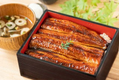 【嬉しい】「うなぎ」値下げする店が増加中！ 豊漁で卸価格が昨年比25％減