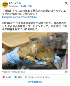 【朗報】アラスカの深海で見つかった謎の『ゴールデンエッグ』、2年半かけてついに正体が判明してしまう