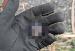 X民「草刈りしてたらヤベーもん出て来た。多分この辺りに◯◯いるわ」→とんでもないものが見つかるｗｗｗｗｗ