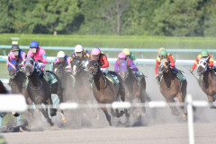 明日競馬に100万突っ込むか迷ってるんだがどう思う？