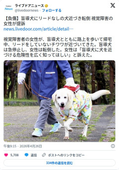 【悲報】ノーリードチワワさん、盲導犬に突撃して視覚障害者を転倒させ提訴されてしまう