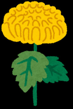 ホリエモン、食用菊ばらまき演出への批判に見解 「プロ野球のビールかけとの違いがわからない」