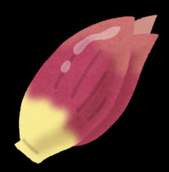 茗荷（みょうが）の美味しい食べ方