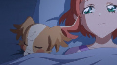 『わんだふるぷりきゅあ！』38話感想 元の飼い主に会いに行くこむぎたち！