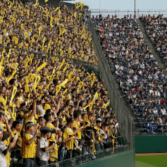 プロ野球でじわり進む「勝ち組」「負け組」の明暗…阪神は全試合完売の一方で動員が伸び悩む球団   |  広島とか東洋とかカープとか、セ・リーグでここだけガラガラ
