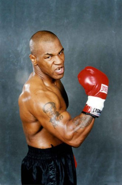 【悲報】マイク・タイソン、動物園のゴリラに対戦を申し込んでいたことが判明