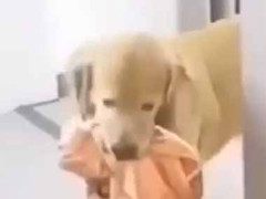 カレが旅行の準備をしていた。これも持ってって♪ → 可愛い彼女はこうします…