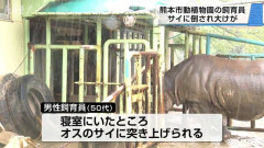 熊本市動植物園で飼育員がサイに襲われて怪我　頭蓋骨などの重傷