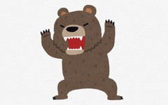 熊、猿「山にどんぐりとか食料あるけど、ヒトの住処の方が美味いもんあるわw」