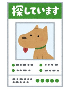 【絶許】不慮の事故で飼い犬が逃げたが繁忙期で仕事を抜けられず、SNSで協力を仰いだら友人から「私なら仕事を休んで探すけどね！」とコメントが→その後、犬が見付かっ