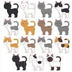 【西武】ネコが球場侵入　若獅子の顔ゆるむ　マネジャーが優しく「なでなで」を重ねて救出に成功　選手ら笑顔