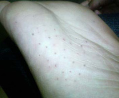 家族で海水浴に。夫がウニを数個採り子供に預け再び海へ、という様子を離れた車からムービー撮ってたんだが、そこへ挙動不審な女が子供に近づいてきて…