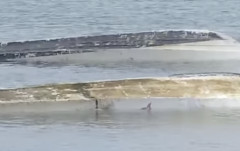 辺野古の事故って最終的にどうなると思う？