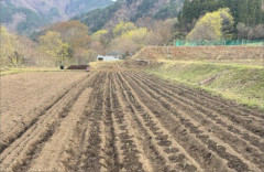 田舎の自給自足生活もラクじゃねーな・・・