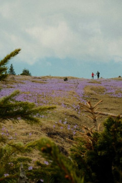 東武池袋のモンベル行ったらほんと中国語ばっかり聞こえるな