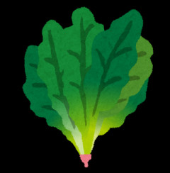 道の駅にしね　特産ホウレンソウが緑鮮やかに並ぶ売り場