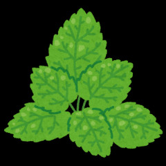 ミントの美味しい飴を教えて下さい❗