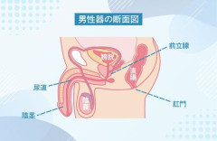【疑問】S〇Xよりも気持ちいいことって存在するんか？