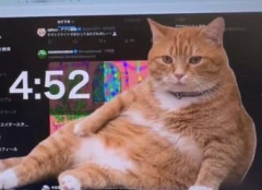 【🐱】XやYouTubeを見すぎるとデブ猫が画面占領、個人開発の強制休憩ツールが話題