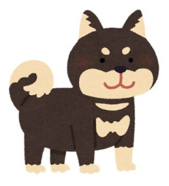 【どっちも可愛い】柴犬の女の子をお迎えしたら、犬を飼った事のない義母が興味津々で犬と遊んでる。でもよく見ると犬の尻尾をフワッと掴んで何度も下に垂らそうとして