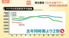 【朗報】うなぎ豊漁でめっちゃ安く買える