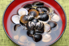 食道がん患者の新たな食道がん発生リスク　「禁酒・禁煙」で８割低下の一方、「節酒・節煙」では低減効果は認められず