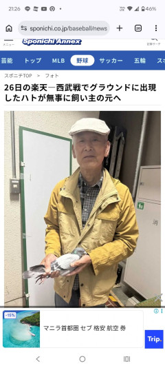26日の楽天―西武戦でグラウンドに出現したハトが無事に飼い主の元へ