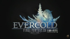 【悲報】FF14さん、新パッケージが出るのにみんな辞めてしまっていた