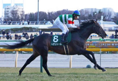 【競馬予想】[1]第173回天皇賞(春)(GⅠ) 2026