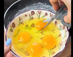 外国人「日本人のフレンドから教わった日本料理、試すわ！」→マジで見たことない料理でツッコミ殺到へｗｗｗｗｗｗ