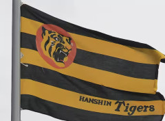 阪神ファン『9連戦は5勝4敗でも御の字』