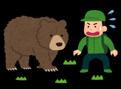 【北海道】春期クマ捕獲中のハンターが発砲、命中し落下してきたクマが起き上がり襲ってくる…顔面や頭部に重傷