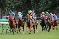 バカみたいなローテだな、と思った馬といえば？