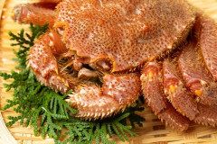 【画像】ヨッメ(32)「毛ガニ美味しかったね！」ワイ(33)「最後に味噌甲羅焼きやる？」ヨッメ「やるー！」⇒結果ｗｗｗｗｗｗｗｗｗ