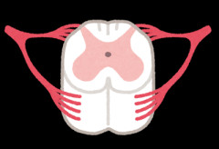 韓国人「これはさすがに日本に恥ずかしい」韓国のサッカーリーグで韓国人選手の悪質なタックルのせいで日本人選手が脊髄を骨折か
