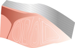 【動画】お魚さん、ピチピチｗｗｗｗｗｗｗｗｗｗｗｗｗｗｗｗ