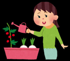 一般家庭で1番有能な野菜と言えば…