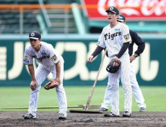 阪神タイガース、ショート高寺解禁ｗｗｗｗｗｗｗｗｗｗｗｗｗｗｗｗｗｗｗｗ