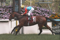 カーインライジング、来年以降の英国遠征も視野　ヘイズ師「世界に彼の実力を見せつけたい」