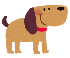 彼「犬と触れ合うことで犬アレルギーを克服できるんだ。ネットで見た。だから飼おう！」　婚約者が、結婚してから住もうと借りてた家に犬を連れてきた…