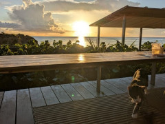 【画像】お花を撮りに来たｗｗｗｗｗｗｗｗｗｗｗｗ