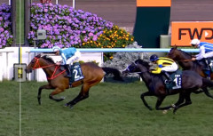 日本馬より完全に香港馬の方が強くなっている件