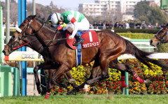 シックスペンス、迷走の果て