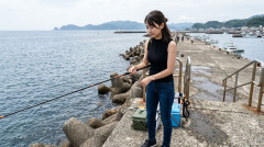 【入れ食い速報】イワシ大群に釣り人殺到！！！！！うおおおおおおタダで夕食のおかずゲットだあああああ！！！