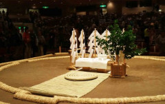 【困惑】黒人の力士がいないのっておかしくね？